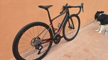 Giant Defy Advanced Pro 2 2024 2024 Road & Gravel d'occasion — image 9 sur 18