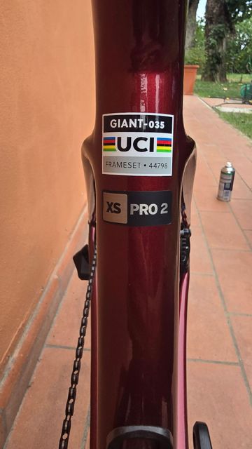 Giant Defy Advanced Pro 2 2024 2024 Road & Gravel d'occasion — image 4 sur 18