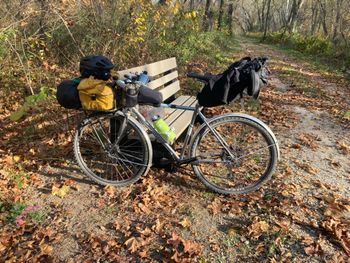 Used All-City Space Horse microSHIFT 2023 Frameset 2023 Road & Gravel, Light Gray — image 4 of 7
