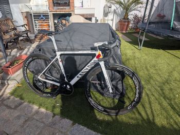 Brugt Canyon Ultimate WheelTop EDS 2017 Road & Gravel — billede 12 af 17