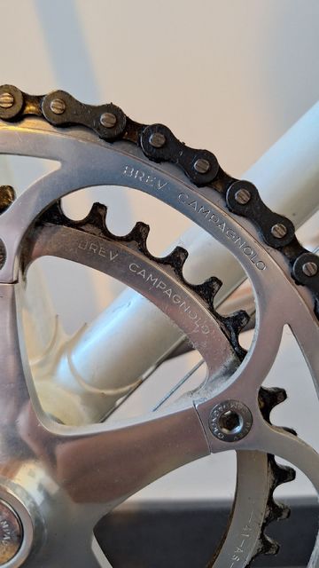 Used Chesini Custom Campagnolo Record 1984 Road & Gravel, Blue — image 8 of 17