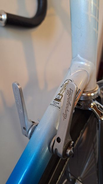 Used Chesini Custom Campagnolo Record 1984 Road & Gravel, Blue — image 15 of 17