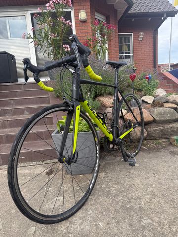 BULLS Harrier 2 2020 2020 Road & Gravel de segunda mano, Negro — imagen 3 de 3