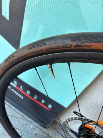 Brugt PINARELLO GAN 2022 Road & Gravel — billede 8 af 11