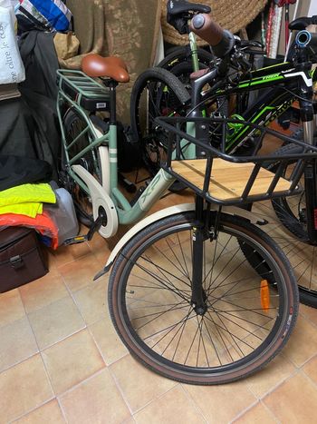 Used XP Custom Shimano Tourney 2025 Urban, Green — image 3 of 5