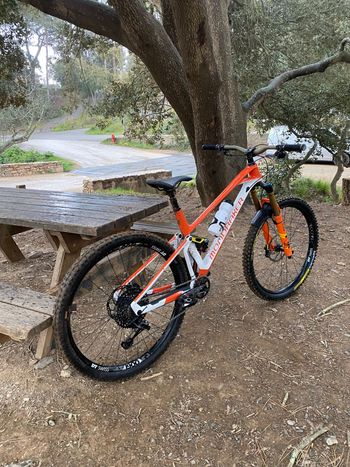 Mondraker Foxy Carbon RR 29 2019 2019 MTB d'occasion
