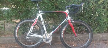 Used Pinarello Prince 2008 2008 Road & Gravel