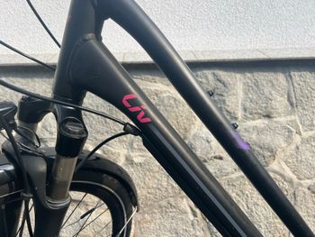 Used Liv Custom Shimano Deore Urban, Black — image 3 of 27