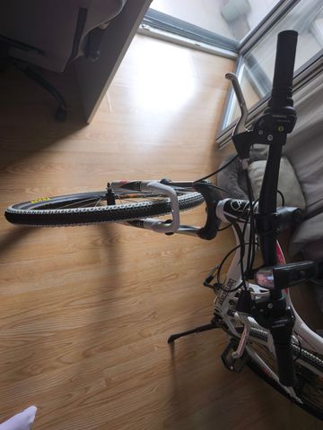 Gebrauchtes Bergsteiger Kodiak 2025 Mountainbike, Weiß — Bild 2 von 3