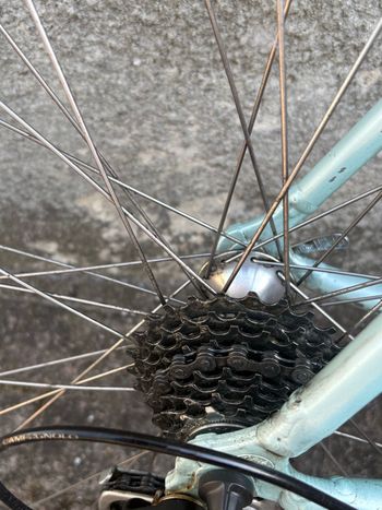 Brugt Sab Custom Campagnolo Record 2003 2003 Road & Gravel — billede 3 af 14