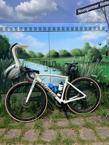 Specialized Tarmac SL7 Comp - Rival eTap AXS 2022 2022 Road & Gravel d'occasion
