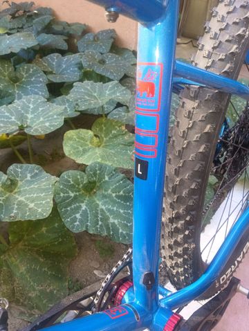 Gebrauchtes Marin El Roy 2023 Frameset 2023 Mountainbike, Blau, 29 — Bild 3 von 11