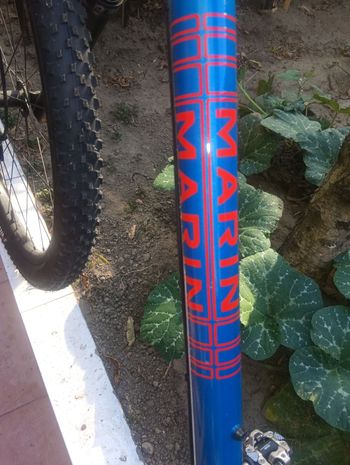 Marin El Roy 2023 Frameset 2023 Mountainbike d'occasion — image 12 sur 14
