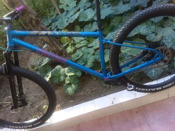Marin El Roy 2023 Frameset 2023 Mountainbike d'occasion — image 11 sur 14