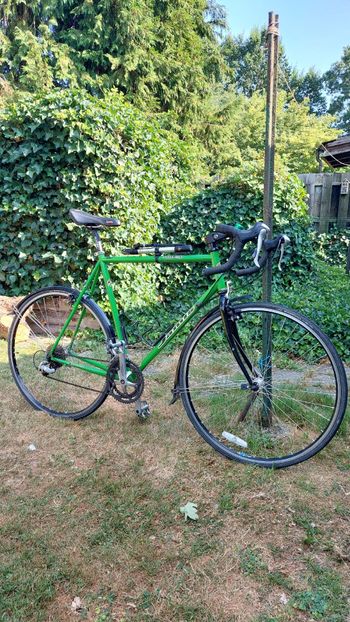 Tweedehands Jamis Custom Other Shimano 2000 Road & Gravel