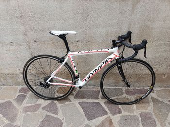 Używany Olympia Custom Frameset 2019 Road & Gravel — zdjęcie 2 z 7
