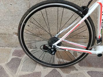 Używany Olympia Custom Frameset 2019 Road & Gravel — zdjęcie 5 z 7