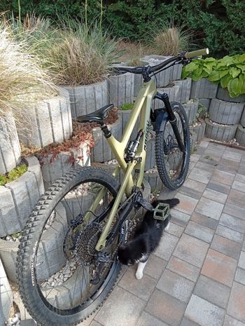 Radon SWOOP 9.0 2022 2022 Mountainbike usato, Verde — immagine 3 di 8