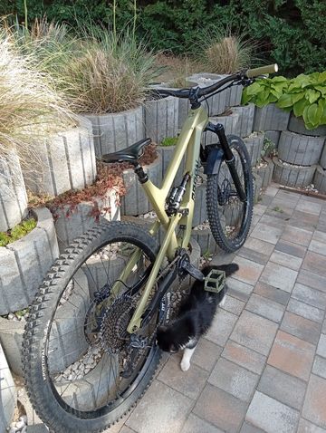 Used Radon SWOOP 9.0 2022 2022 Mountainbike, Green, 29 — image 3 of 8