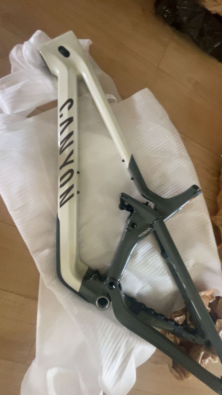 Gebrauchtes Canyon Strive CFR LTD 2024 Frameset 2024 Mountainbike, Weiß, 29 — Bild 4 von 12