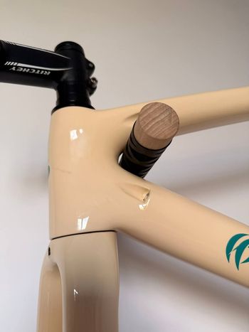 Used Delihea REST Frameset 2024 Road & Gravel, Orange — image 6 of 7