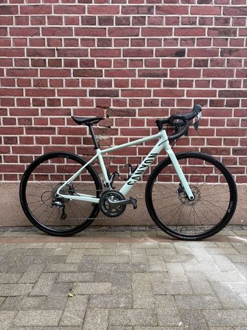 Used Canyon Endurace 6 2024 2024 Road & Gravel, Light Gray — image 2 of 20
