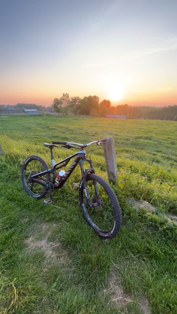 Used Canyon Neuron CF 8.0 2019 2019 MTB