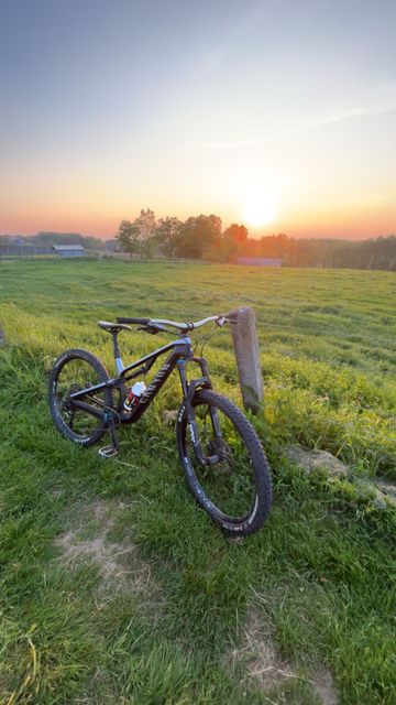 Used Canyon Neuron CF 8.0 2019 2019 Mountainbike, Light Gray, 27.5, 29 — image 2 of 7