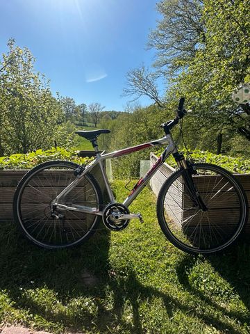 Simplon Purple Pro 2010 Urban & Touring usato