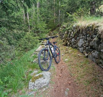 Used ROCKRIDER Mountain Bike SRAM Red eTap AXS 2022 Mountainbike, Light Gray — image 4 of 5