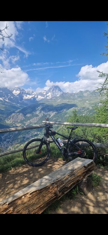 Used ROCKRIDER Mountain Bike SRAM Red eTap AXS 2022 Mountainbike, Light Gray — image 5 of 5