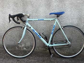 Used Sab Custom Campagnolo Xenon 2003 Road & Gravel