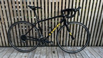 Trek Domane AL 2 Rim 2024 2024 Road & Gravel de segunda mano