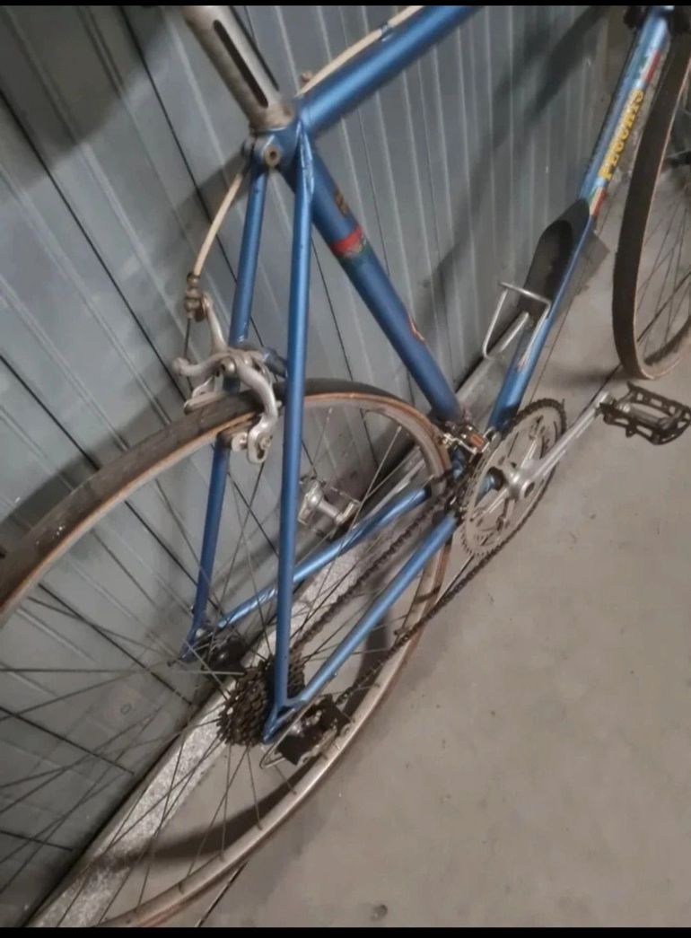Pecchio Custom Campagnolo Veloce 1978 Road & Gravel usato, Blu — immagine 3 di 5