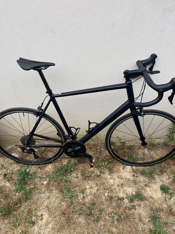 Used Canyon Endurace AL 7.0 2021 2021 Road & Gravel