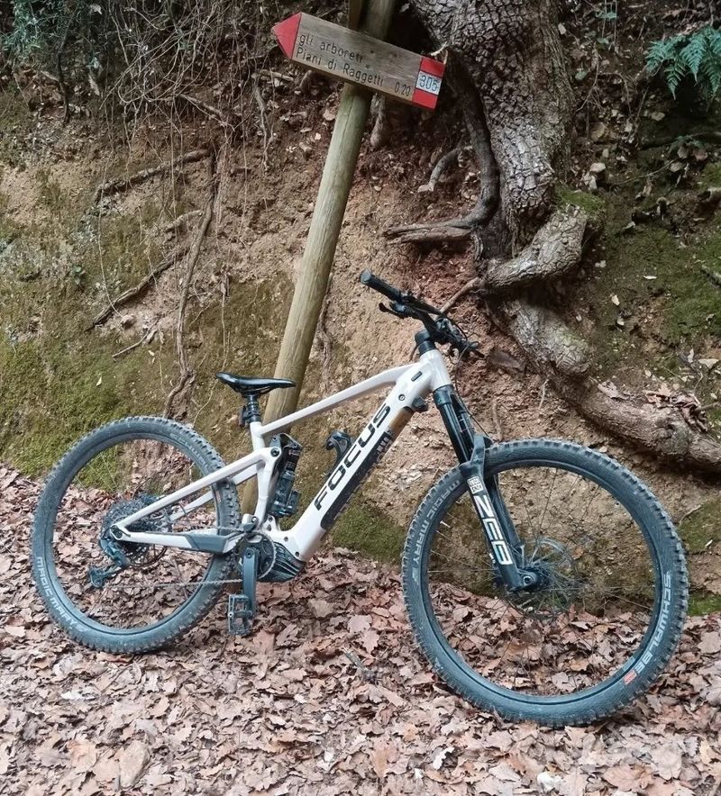 Used Focus SAM² 6.8 2022 2022 MTB