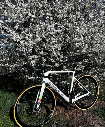 Used Orbea ORCA M20 2022 2022 Road & Gravel, White — image 10 of 10