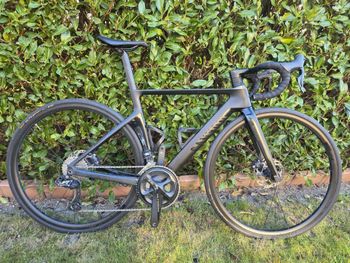 Brugt Canyon Aeroad WMN CF SL Disc 8.0 Di2 2019 2019 Road & Gravel