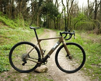 Used 3T Primo Exploro - Campagnolo Ekar - 2022 2022 Road & Gravel