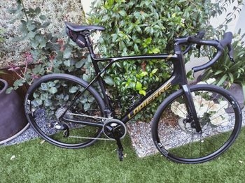 Lapierre Pulsium SAT 6.0 AXS 2024 2024 Road & Gravel usato