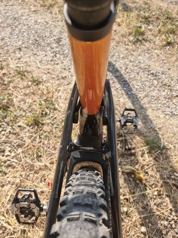 Brugt Canyon Spectral CF 8 CLLCTV 2025 2025 Mountainbike — billede 5 af 7