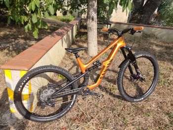 Brugt Canyon Spectral CF 8 CLLCTV 2025 2025 Mountainbike — billede 2 af 7