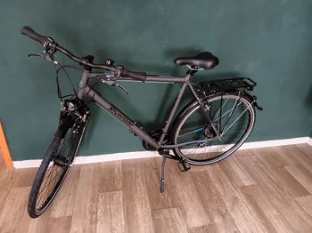 RIVERSIDE Trekkingrad 28 Zoll 320 TR Herren 2025 2025 Urban & Touring d'occasion
