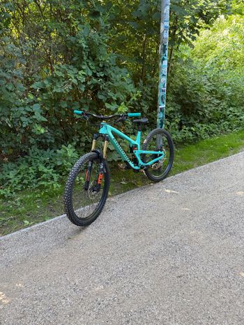 Brugt Propain Tyee CF 29 Highend 2023 Frameset 2023 Mountainbike — billede 3 af 3
