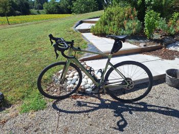 Cannondale Synapse Shimano Ultegra 2025 Road & Gravel de segunda mano