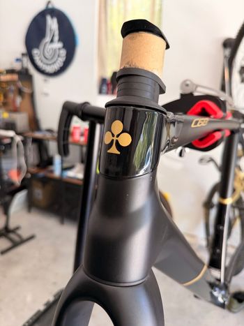 Used Colnago C68 Frameset 2025 Road & Gravel, Black — image 15 of 24