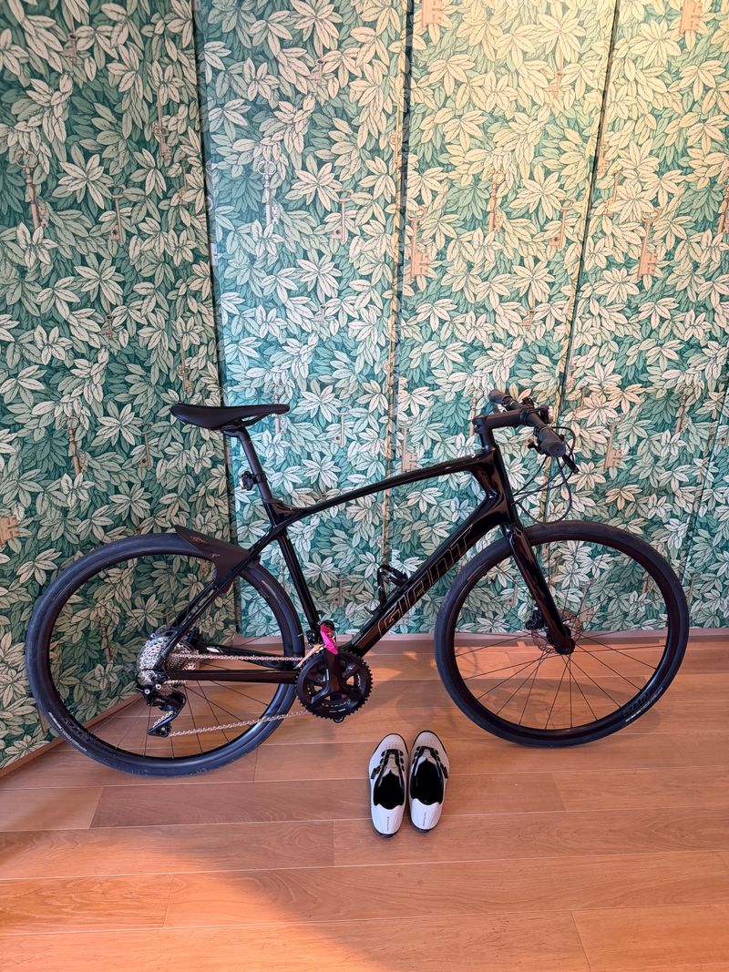 Gebrauchtes Giant FastRoad Advanced 2 2020 2020 Urban & Touring