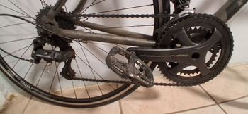 Used Acw Custom Campagnolo Centaur 2022 Road & Gravel, Light Gray — image 4 of 7