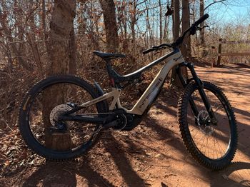 Used Intense TAZER FOX 2022 2022 Mountainbike, Black — image 2 of 6