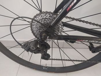 Używany CIÖCC Morpho Carbon 2004 Road & Gravel — zdjęcie 3 z 10